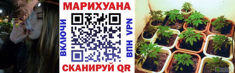 МАРИХУАНА семена  Купить закладки  Ревда 